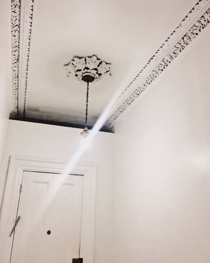 2016-12-17 21.47.41-3.jpg