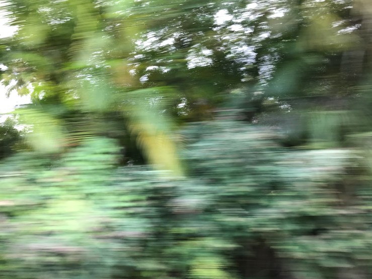 2016-12-30-13-18-55-1