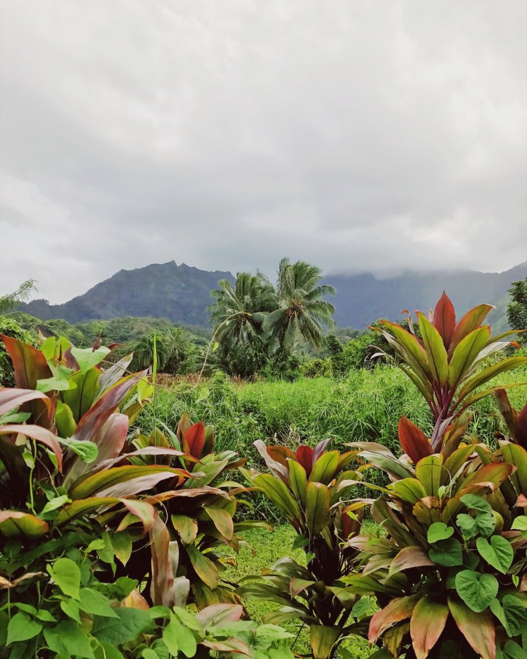 2016-12-30-13-27-03-hdr-2