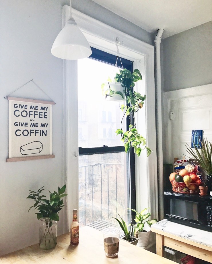 2017-02-25 11.11.38-3.jpg