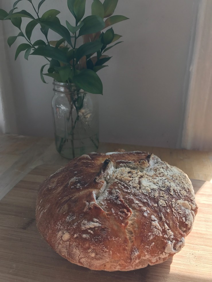 2017-03-11 14.23.03 HDR