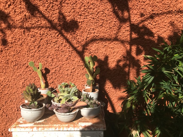 JChristen_Cuba_021217_01