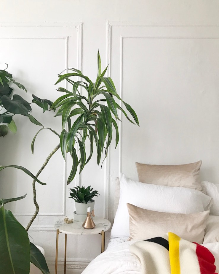 jchristen_nyc_032417_01