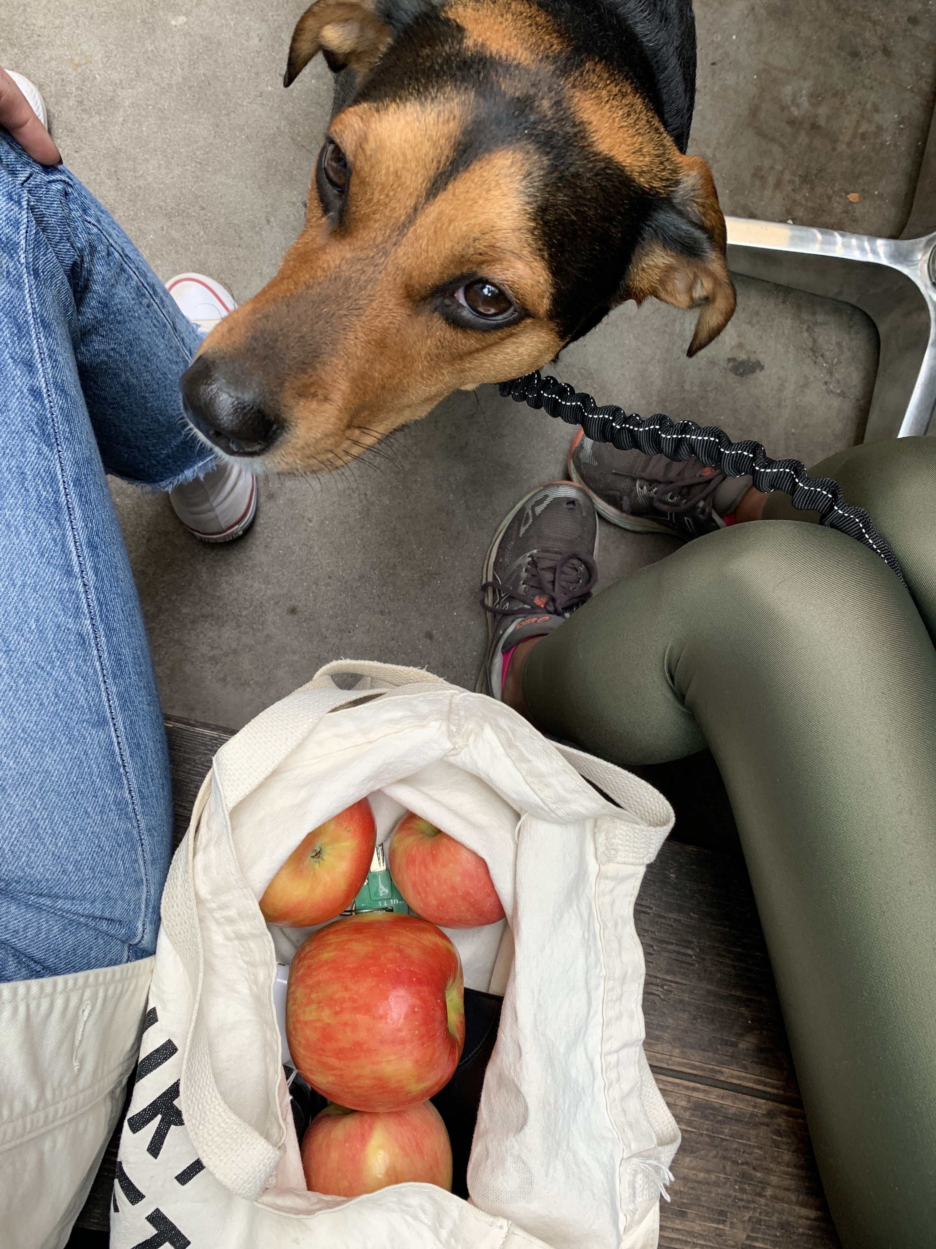 2019-10-26 15.50.34.jpg