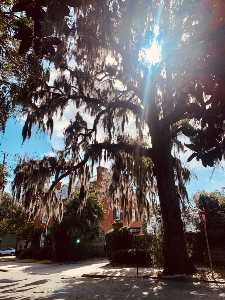 2020-02-13 12.11.47-1